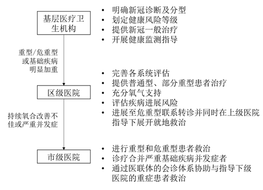 新冠口服药怎么用？社区氧疗怎么做？这份上海新冠诊疗流程刷屏了